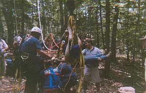 plane crash rescue in the woods