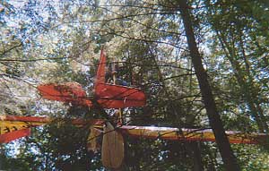 plane crash in the woods