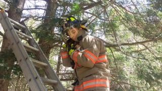 Kitty Rescue from tree