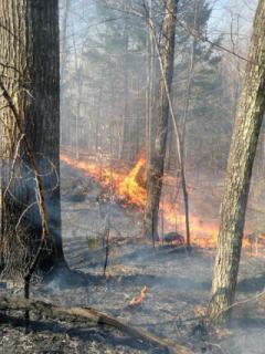 Fire spreading during Stoddard wildfire